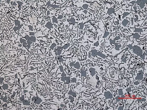 課堂| 金相典型特征樣品圖譜 (七) : 有色金屬合金組織-徠卡顯微系統(